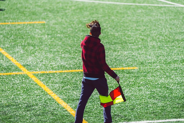 乒坛的巨人 乒坛的巨人