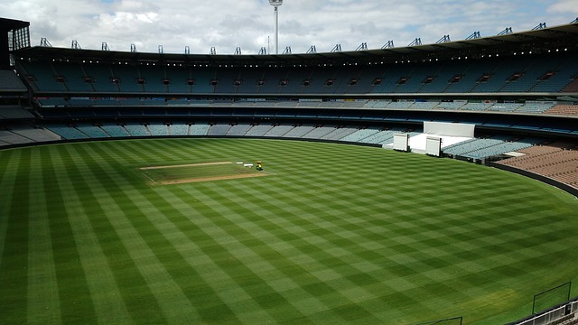 湖人赢灰熊 湖人赢灰熊