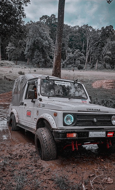 雷霆主场赢快艇，老大29中17暴走狂胜，豪取10连胜创队史佳绩！.