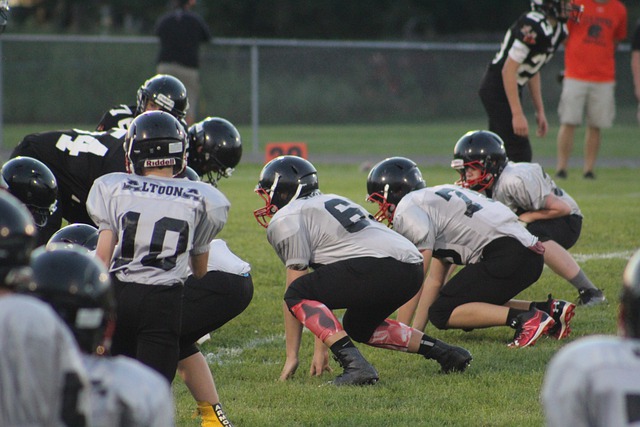 通常会对皇 通常会对皇