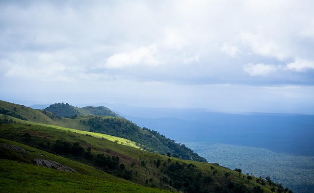探索职业生 探索职业生