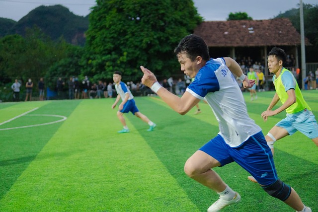 他在球队中 他在球队中