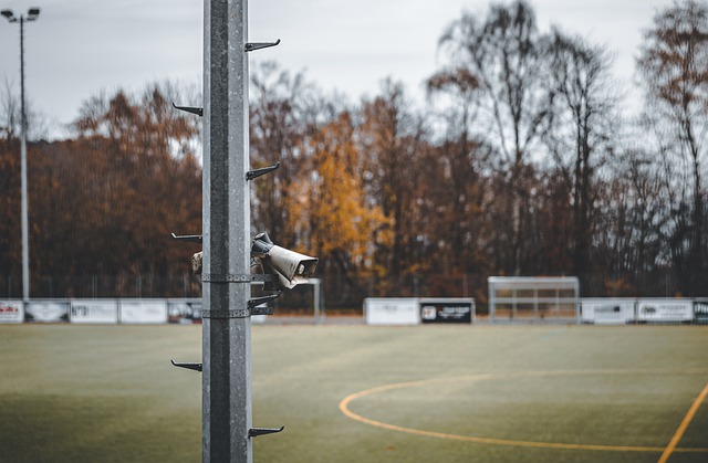 在比赛过程 在比赛过程